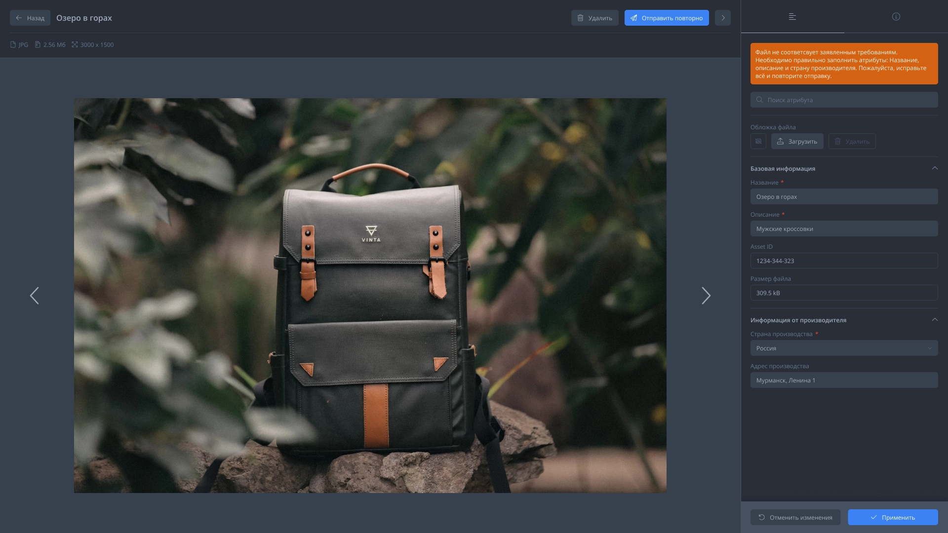 Просмотр отклоненного файла