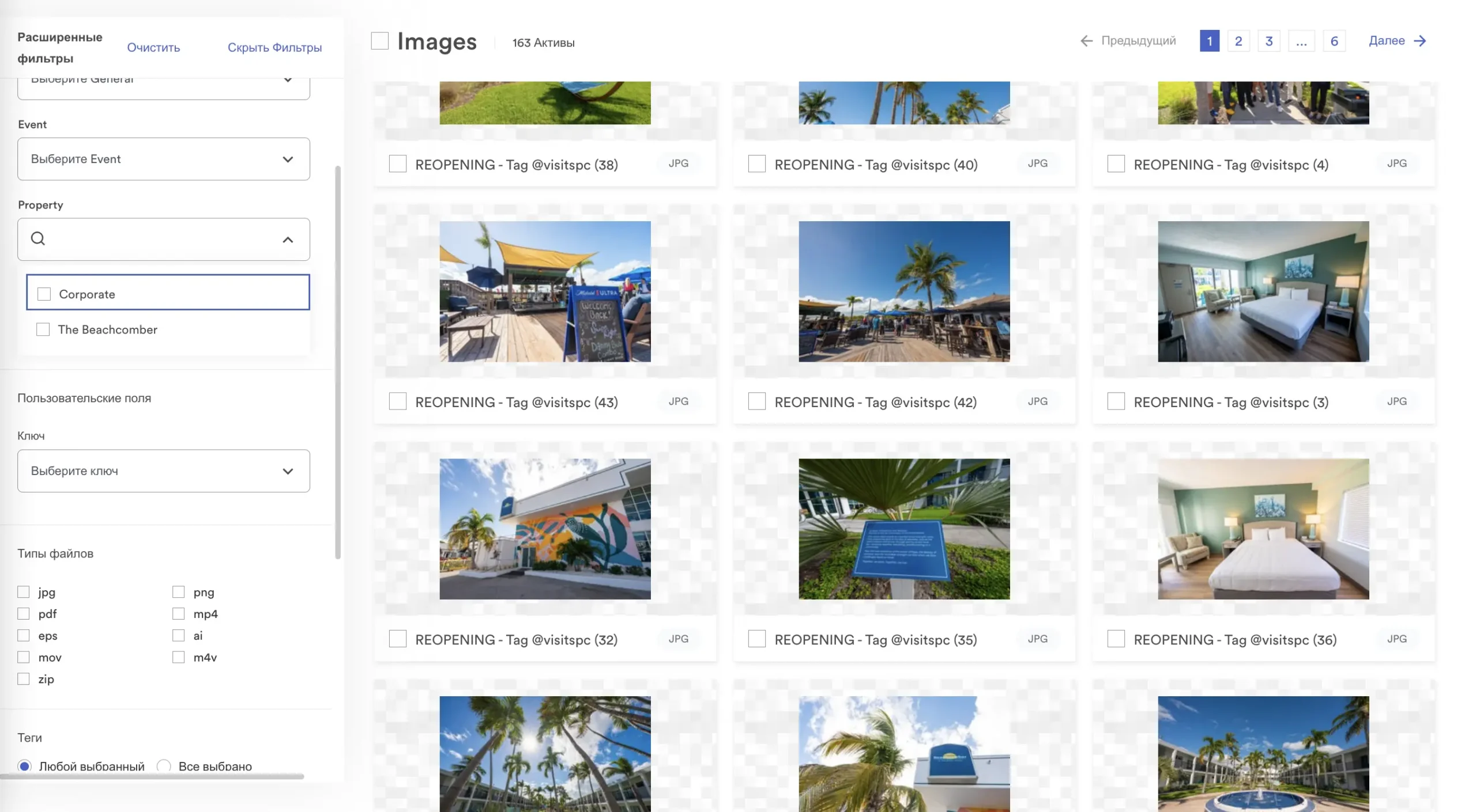 Brandfolder-some-collections.png
