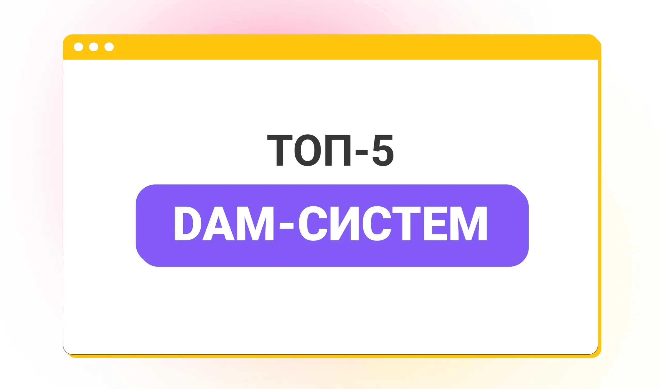 Топ-5 DAM систем